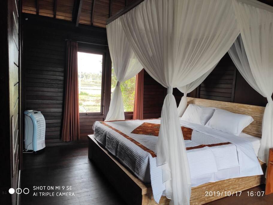 Tegeswoodhouse,private Pool,two Bedrooms And Free Wifi Ubud